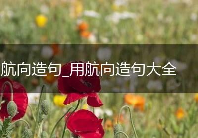 航向造句_用航向造句大全