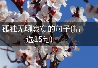 孤独无聊寂寞的句子(精选15句)