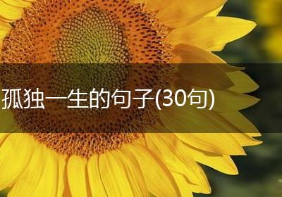 孤独一生的句子(30句)