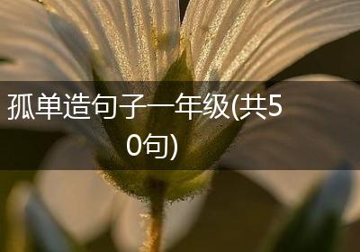 孤单造句子一年级(共50句)