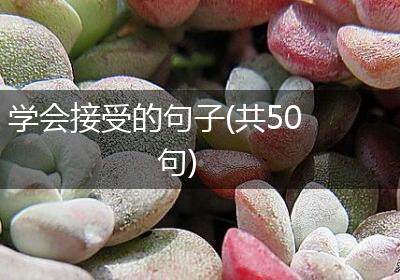 学会接受的句子(共50句)