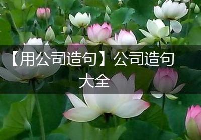 【用公司造句】公司造句大全