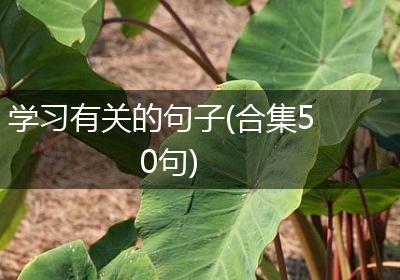 学习有关的句子(合集50句)
