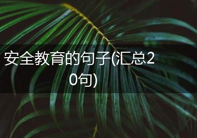 安全教育的句子(汇总20句)