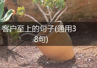 客户至上的句子(通用38句)