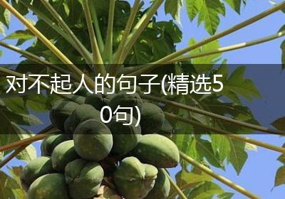 对不起人的句子(精选50句)