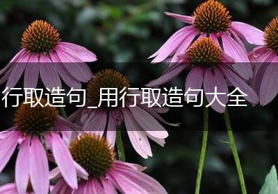行取造句_用行取造句大全