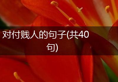 对付贱人的句子(共40句)