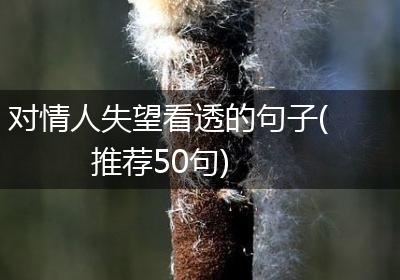 对情人失望看透的句子(推荐50句)