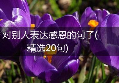 对别人表达感恩的句子(精选20句)