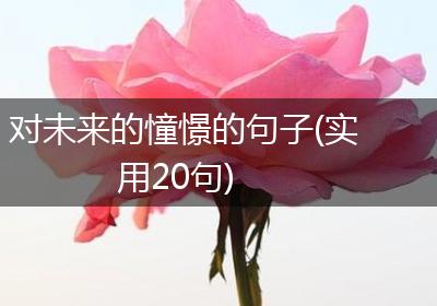 对未来的憧憬的句子(实用20句)