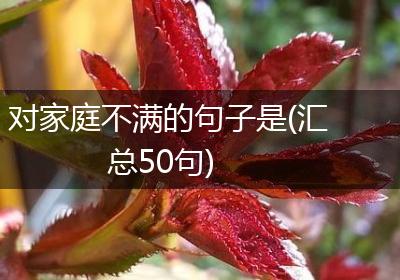 对家庭不满的句子是(汇总50句)