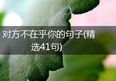 对方不在乎你的句子(精选41句)