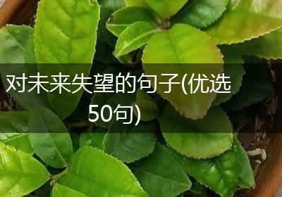 对未来失望的句子(优选50句)