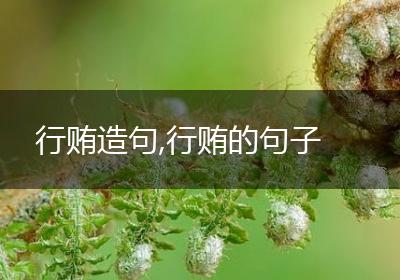 行贿造句,行贿的句子