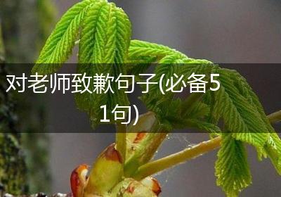 对老师致歉句子(必备51句)