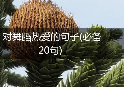 对舞蹈热爱的句子(必备20句)