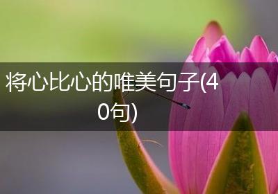 将心比心的唯美句子(40句)