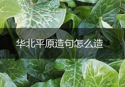 华北平原造句怎么造