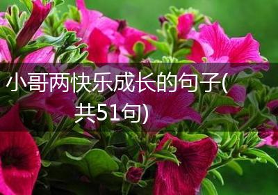 小哥两快乐成长的句子(共51句)