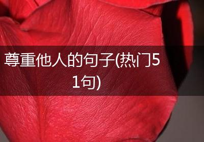 尊重他人的句子(热门51句)