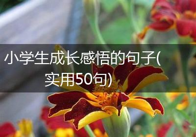 小学生成长感悟的句子(实用50句)