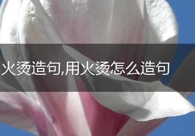 火烫造句,用火烫怎么造句