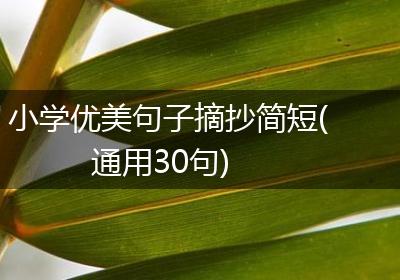 小学优美句子摘抄简短(通用30句)