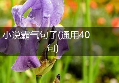 小说霸气句子(通用40句)