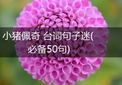 小猪佩奇 台词句子迷(必备50句)