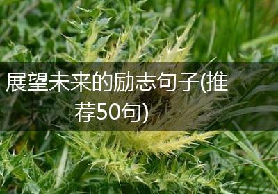 展望未来的励志句子(推荐50句)