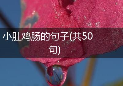 小肚鸡肠的句子(共50句)