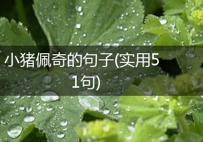 小猪佩奇的句子(实用51句)