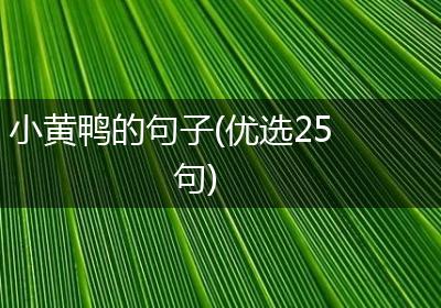 小黄鸭的句子(优选25句)