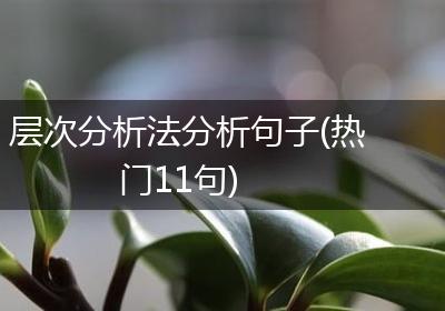 层次分析法分析句子(热门11句)