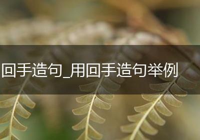 回手造句_用回手造句举例