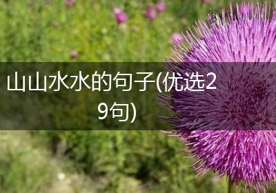 山山水水的句子(优选29句)