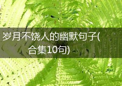 岁月不饶人的幽默句子(合集10句)