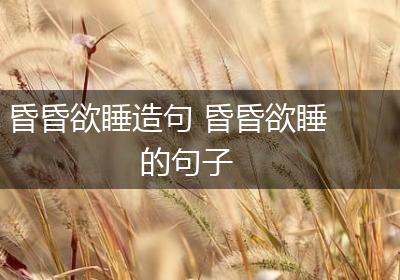 昏昏欲睡造句 昏昏欲睡的句子