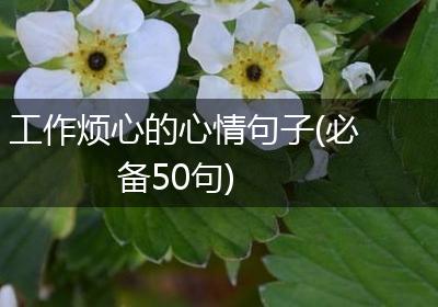工作烦心的心情句子(必备50句)
