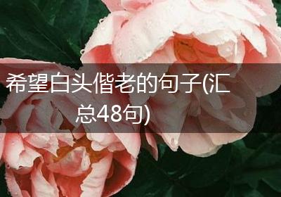 希望白头偕老的句子(汇总48句)