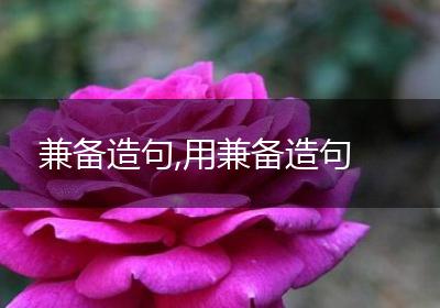 兼备造句,用兼备造句
