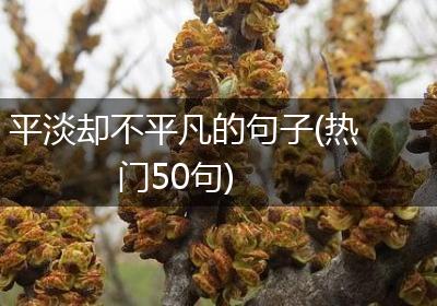 平淡却不平凡的句子(热门50句)