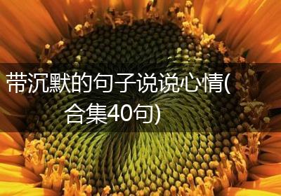 带沉默的句子说说心情(合集40句)