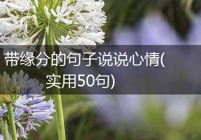 带缘分的句子说说心情(实用50句)