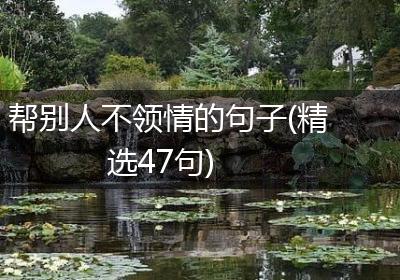 帮别人不领情的句子(精选47句)