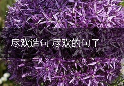 尽欢造句 尽欢的句子