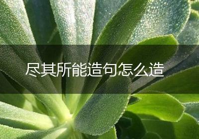 尽其所能造句怎么造