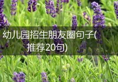 幼儿园招生朋友圈句子(推荐20句)
