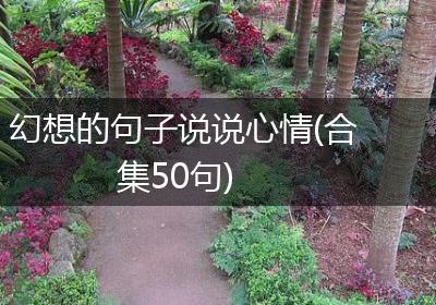 幻想的句子说说心情(合集50句)